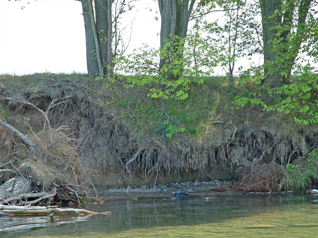 Ibland försvinner stranden under träden